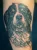 A dog portrait tattoo by Edmonton tattoo artist Dale Moostoos.