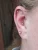 Ear piercings by Sherwood Park piercer Sarai Jorgenson.