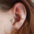 Ear piercings by Sherwood Park piercer Sarai Jorgenson.