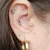 Ear piercings by Sherwood Park piercer Sarai Jorgenson.